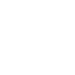Whatsapp icon