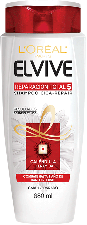 shampoo productos y consejos l oreal