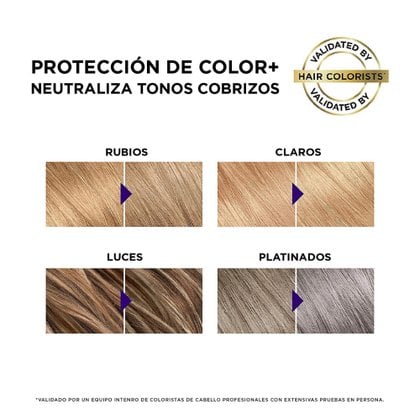 Loreal Ever Purple Resultados