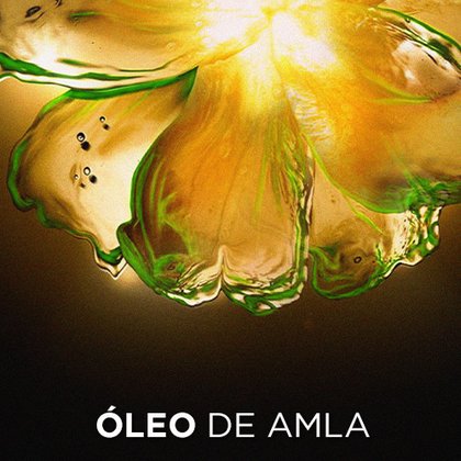 Elvive Oleo Rizos Cpp Ingrediente