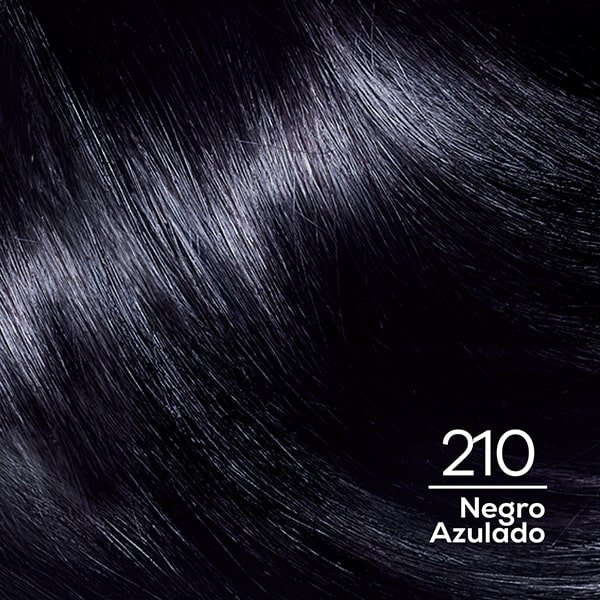 210 Negro Azulado