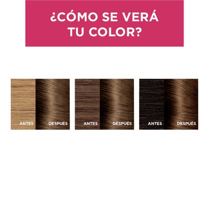 EXCELLENCE TINTE CASTANO 6 RESULTADOS
