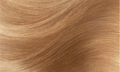 Muestra de la coloracion Excellence Creme 8 Rubio claro