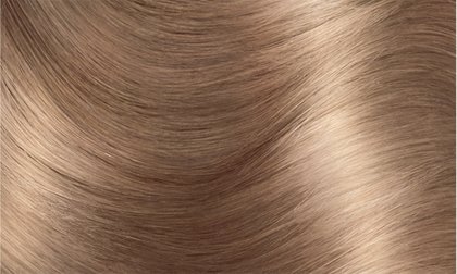 Muestra de la coloracion Excellence Creme 81 Rubio claro ceniza