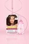 Imageye     Imgi 4 Baja Banner Excellence Creme 01 375x570