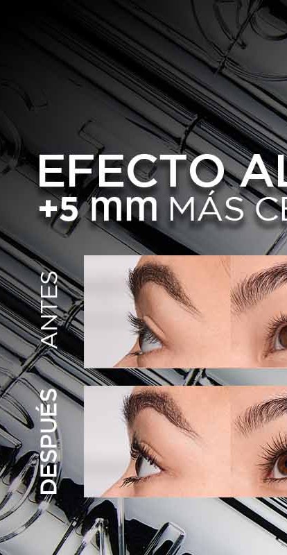 EXTENSIONIST 26 WEB B 2000x800px MX